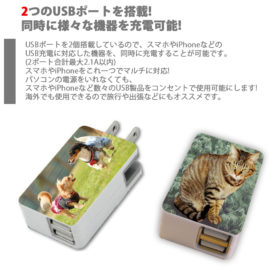 AC充電器USBアダプター - 画像 (2)